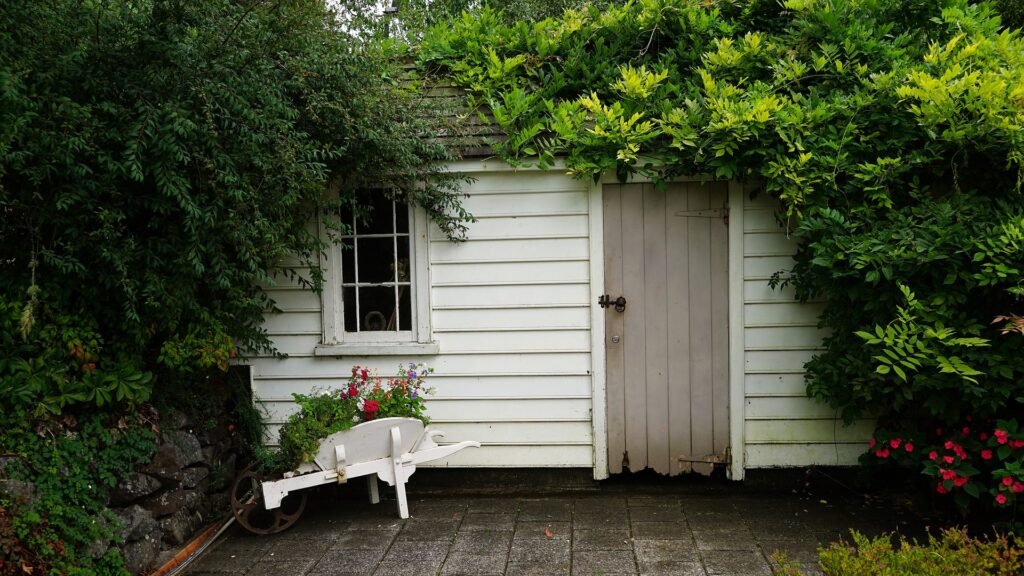 garden shed in bushes