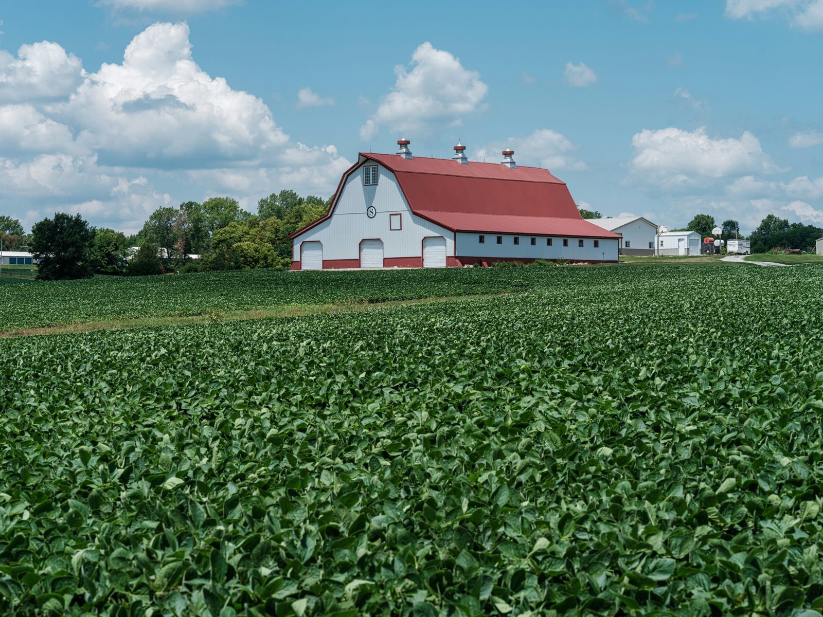 a farm with a barn and a red roof