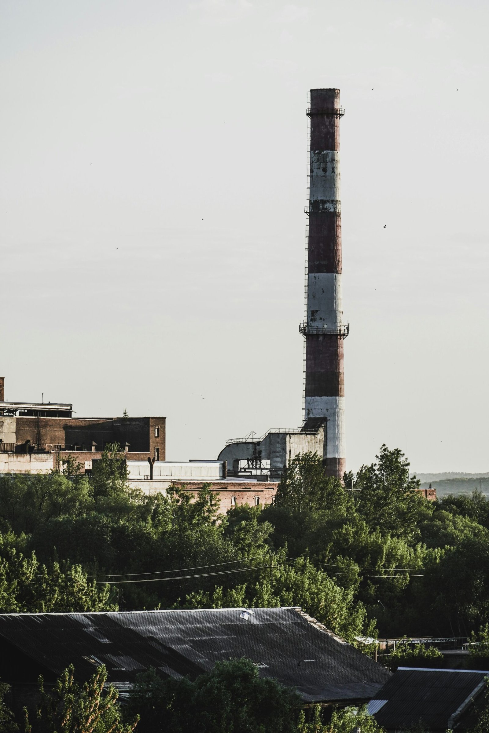 white and black tower near green trees under white sky during daytime